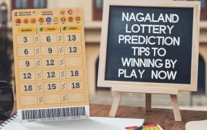 nagaland lottery prediction