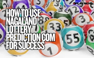 Nagaland Lottery Prediction Com