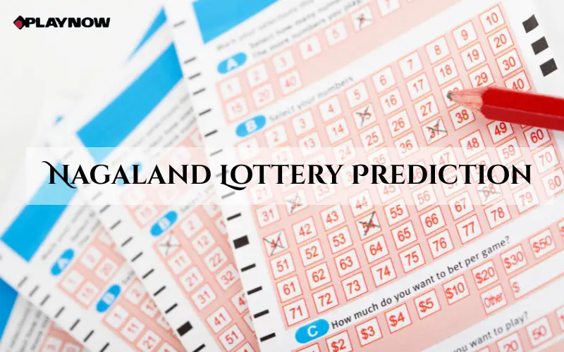 Nagaland Lottery Prediction