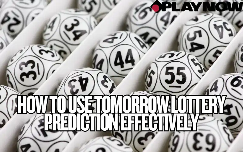 tomorrow lottery prediction